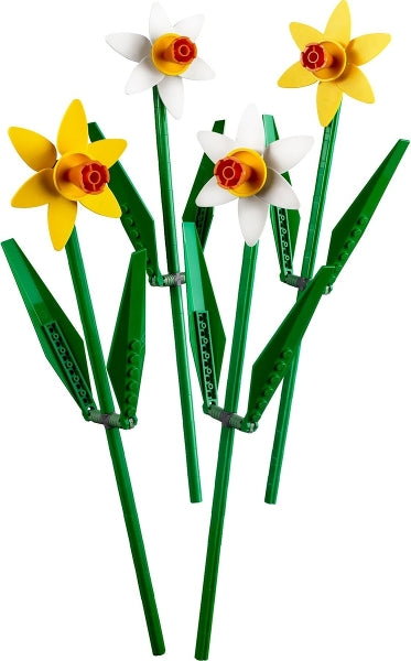 40646 Daffodils- missing 1 flower
