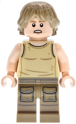 sw1495 Luke Skywalker (Dagobah) - SMART Play™