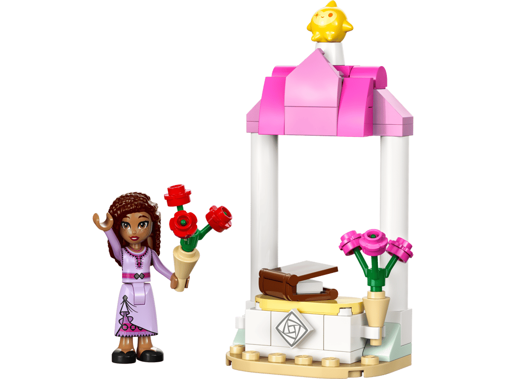 30661 Asha's Welcome Booth polybag