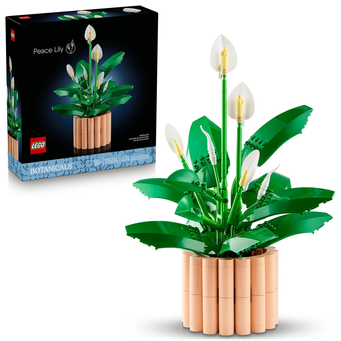 11504 Peace Lily