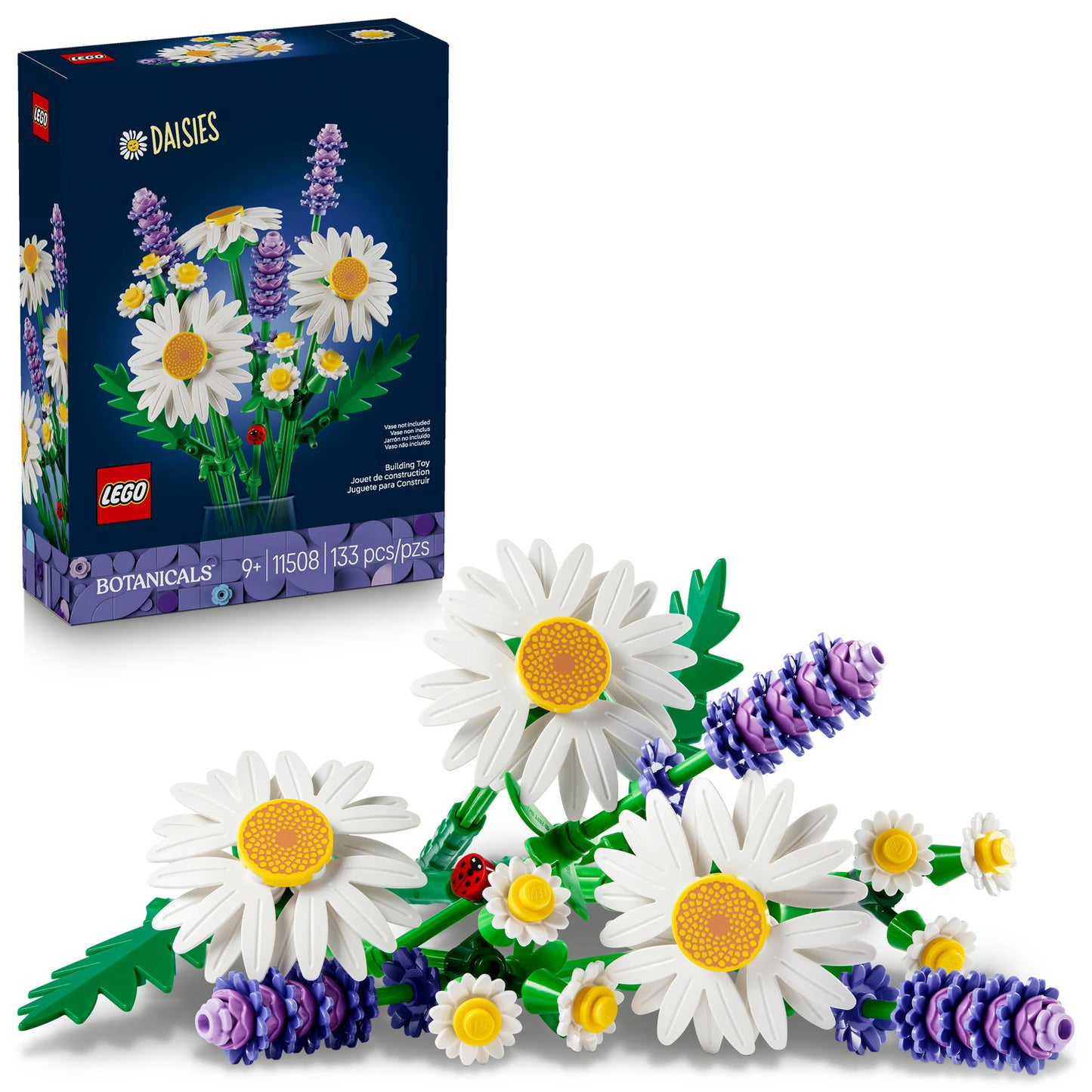 11508 Daisies