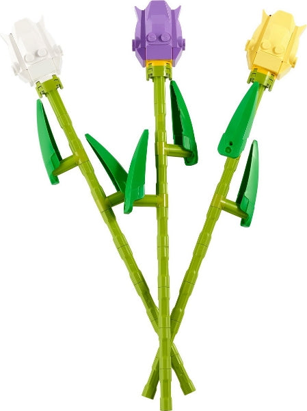 40461 Tulips