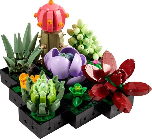 10309 Succulents- missing 5 plants