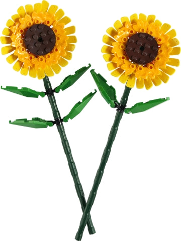 40524 Sunflowers missing some flowers