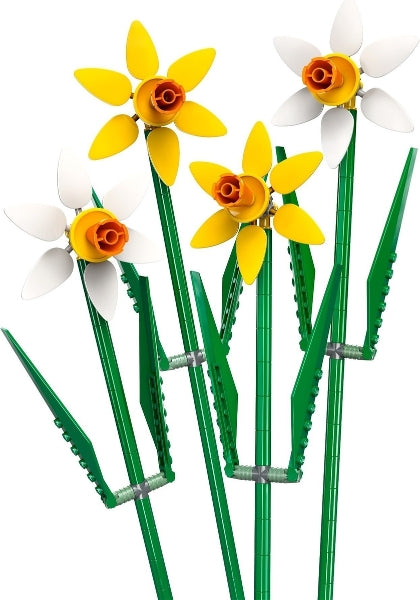 40747 Daffodils