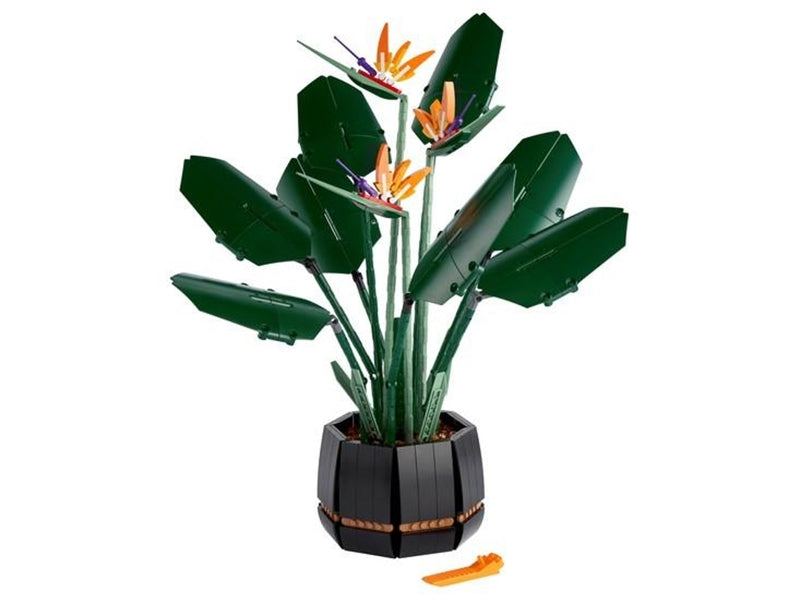 10289 Bird of Paradise