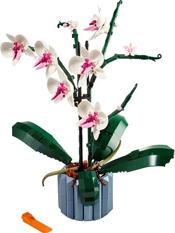 10311 Orchid