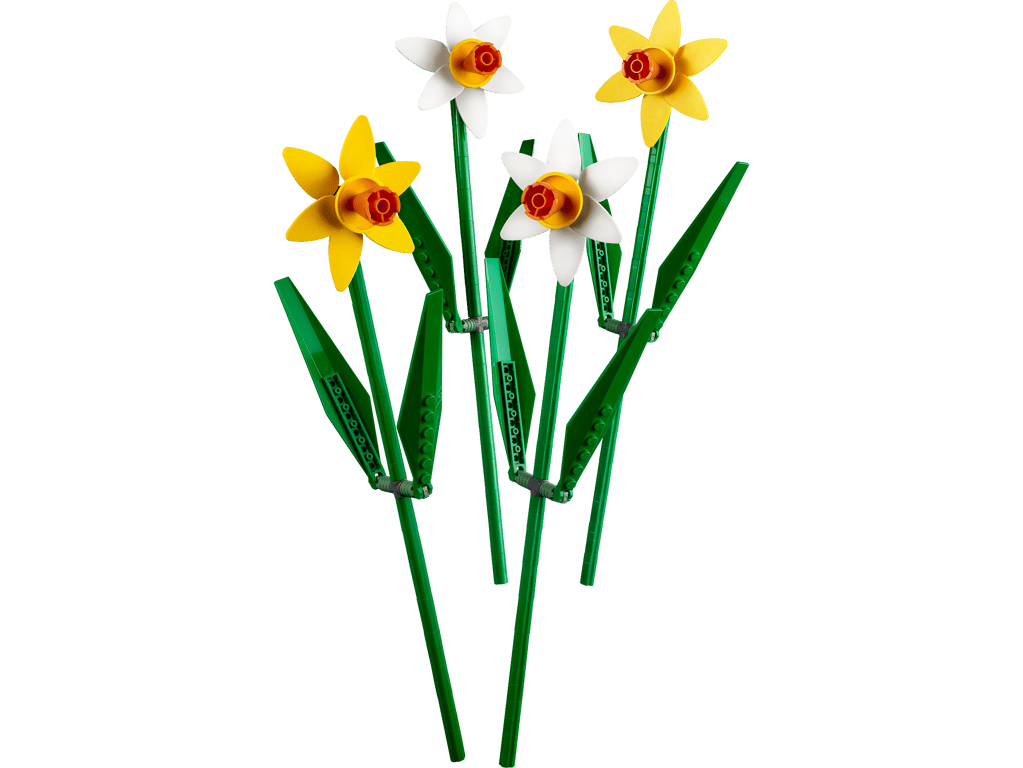 40646 Daffodils