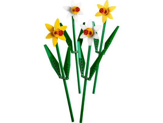 40646 Daffodils