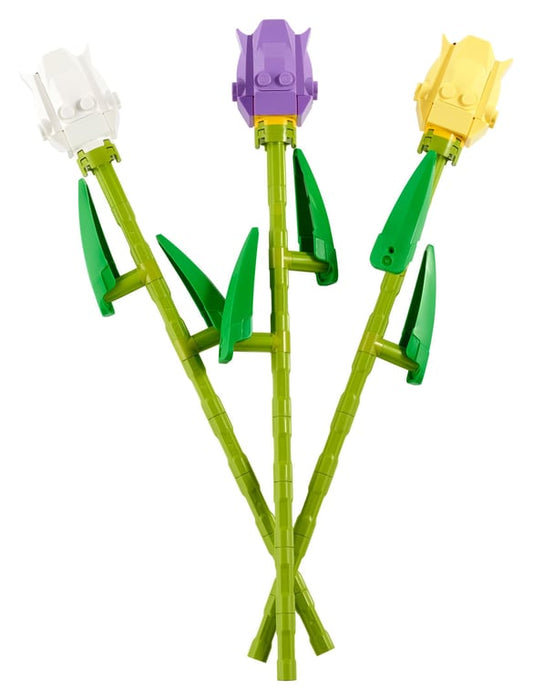 40461 Tulips