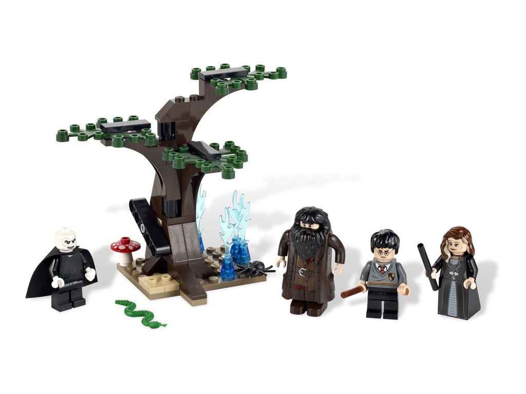 4865 The Forbidden Forest