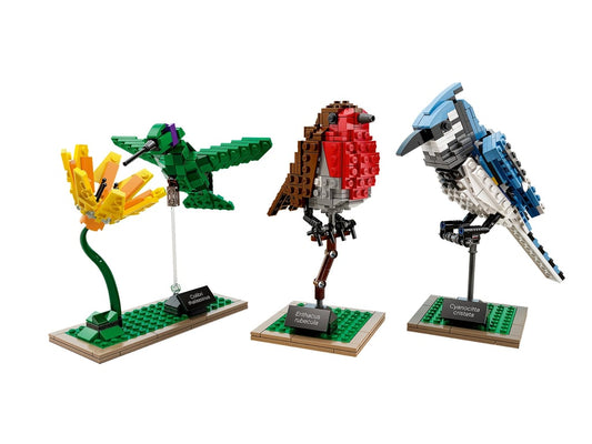 21301 Birds