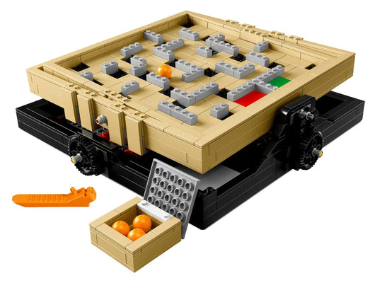 21305 Maze